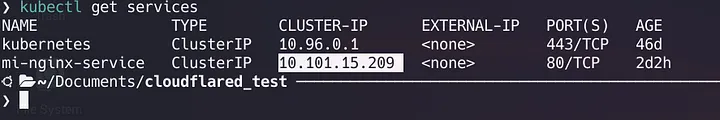 kubectl get services output