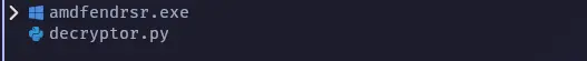 Decrypted executable